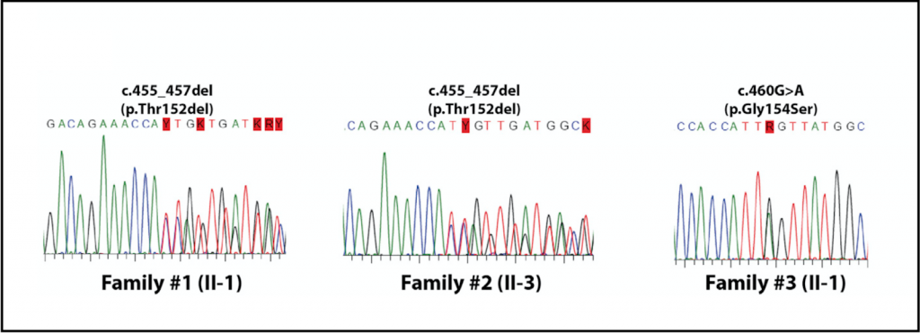 Large scale sequencing and analysis of genomic data