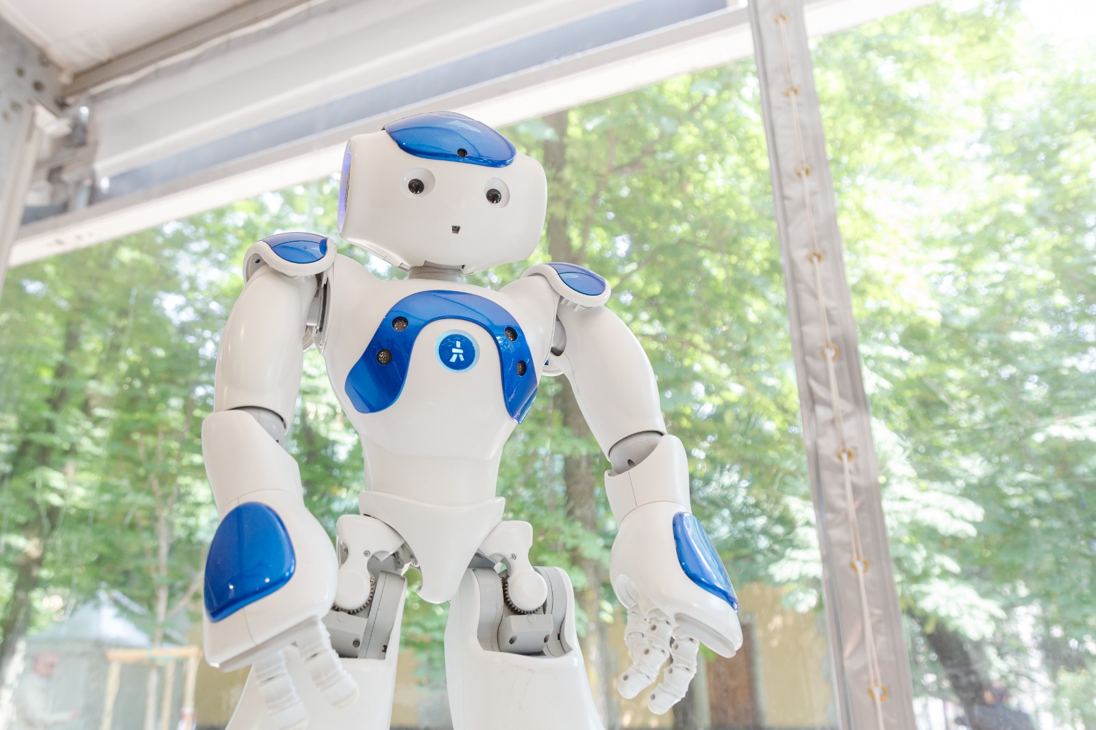 robot Nao in azione