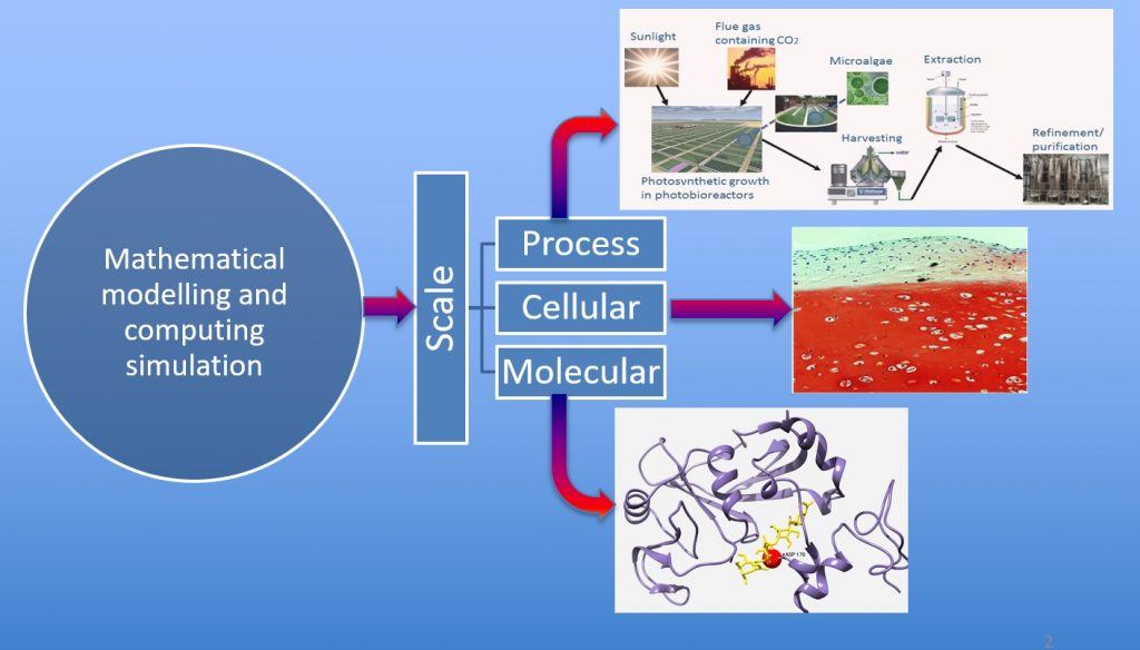 Mathematical modelling and computing simulation