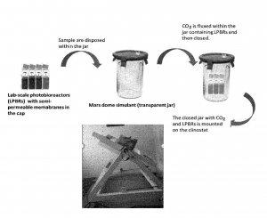 PROCESS AND KIT TO INVESTIGATE MICROGRAVITY EFFECT ON ANIMAL/VEGETABLE CELLS UNDER EXTRATERRESTRIAL CULTIVATION CONDITIONS AND CULTIVATION PROCESS THEREOF TO SUSTAIN MANNED SPACE MISSIONS