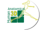 3D Anatomical Functional Models for the Human Musculoskeletal System