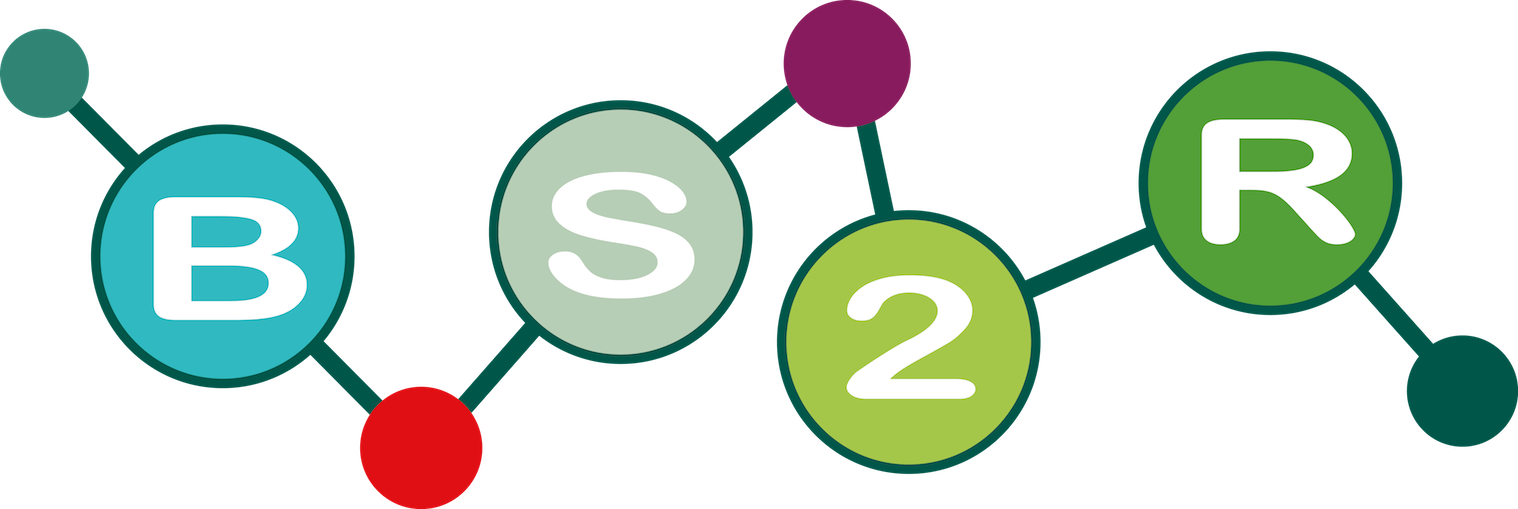 BS2R - Beyond Social Semantic Recommendation