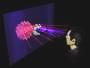 Collaborative Holographic Environments for Networked Tasks