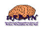 Uniformed Reconstructions of the Brain Available on the Net
